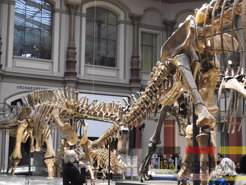 4 Берлінський музей природознавства (Museum für Naturkunde)